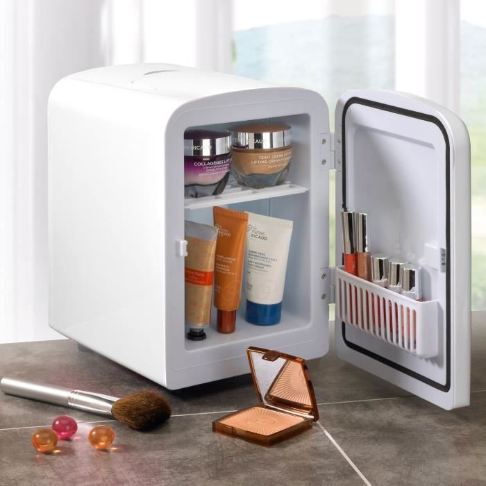 Réfrigérateur de maquillage professionnel, mini réfrigérateur
